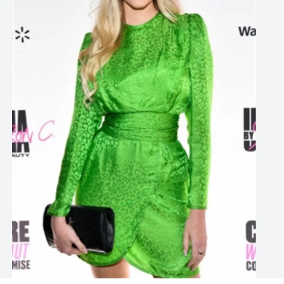 DUNDAS new with tags Green Silk Blend Dress 42 - Picture 1 of 12